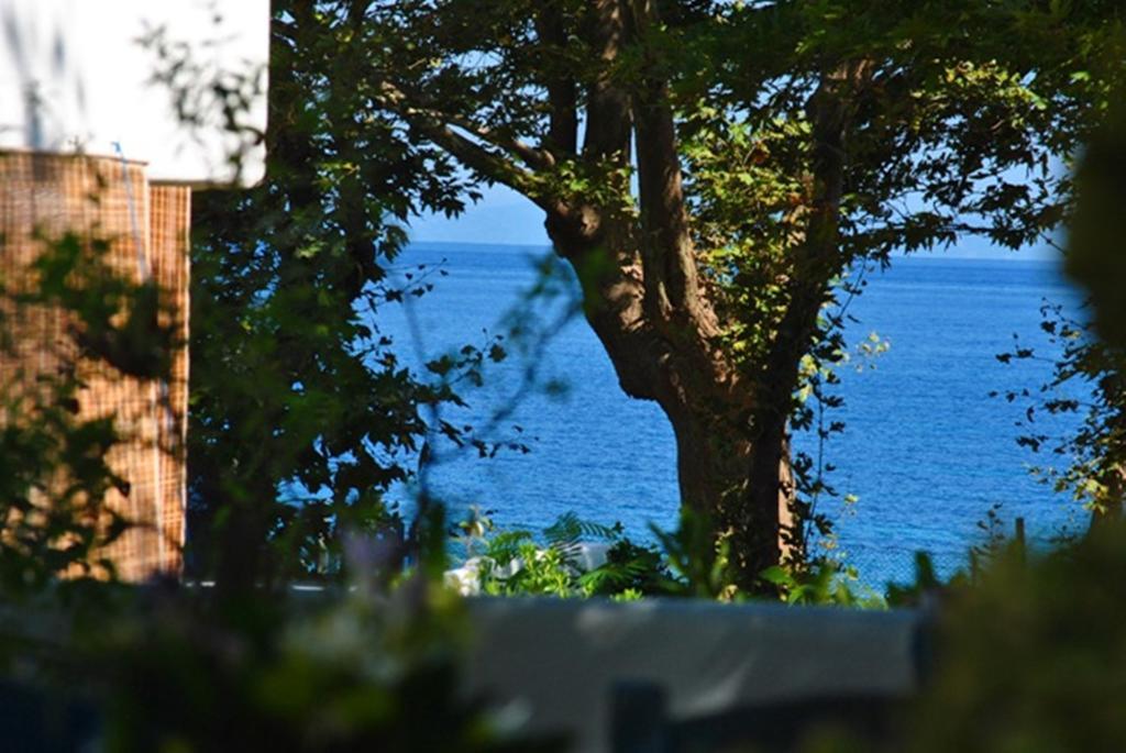 Archondissa Beach Aparthotel Therma  Zewnętrze zdjęcie